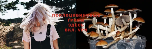 стаф Заволжск