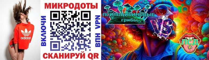 Купить закладки  Городовиковск  Галлюциногенные грибы Cubensis 